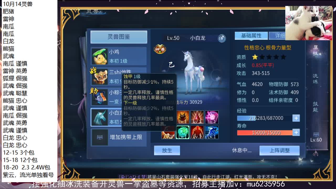 资源白，包强化~ 第4段