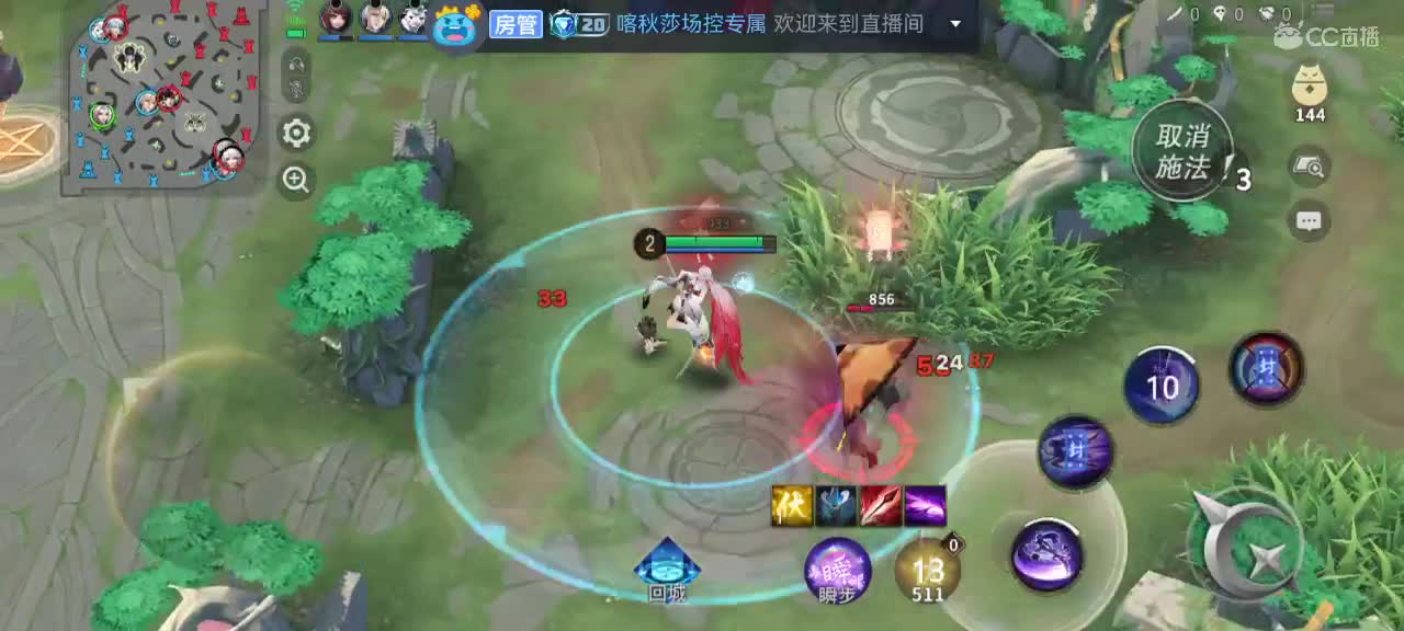 输输赢赢白忙活 第3段