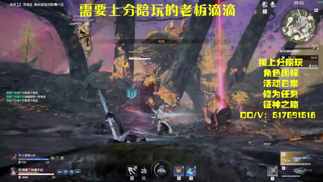 接上分.陪,征神.日常 第8段