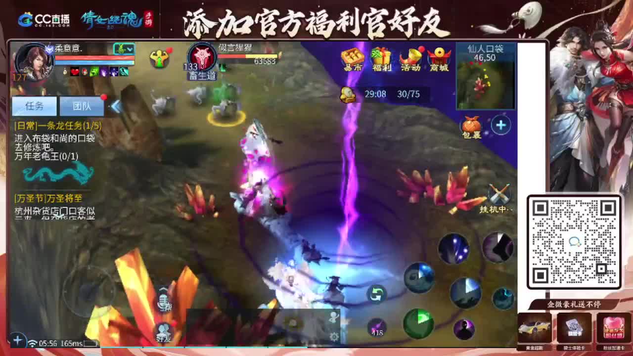 接托管专业卡龙 第5段