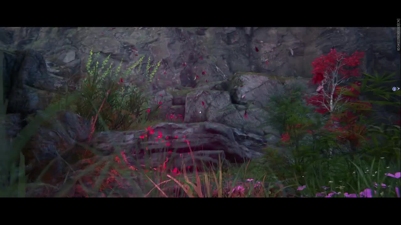 沉浸式直播 第2段