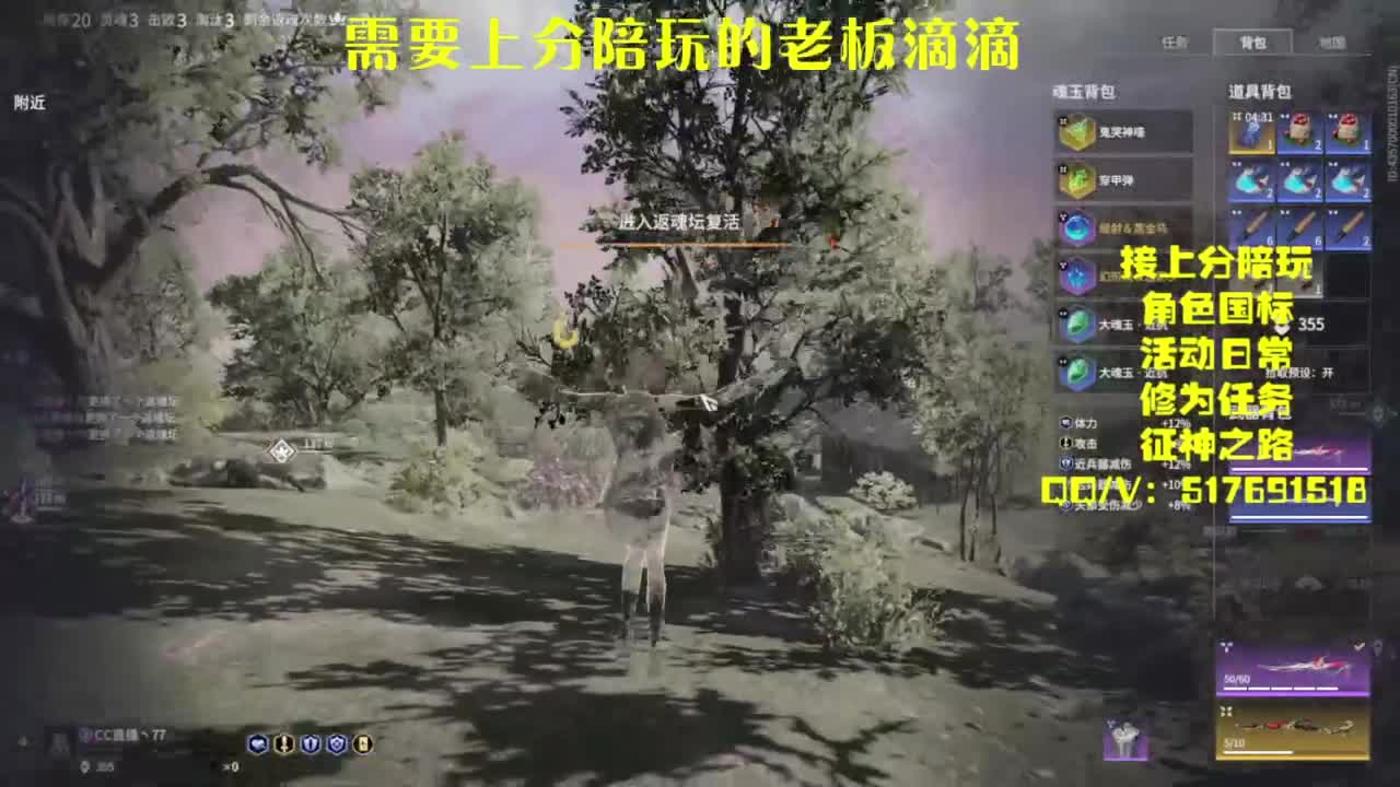 接上分.陪,征神.日常 第6段