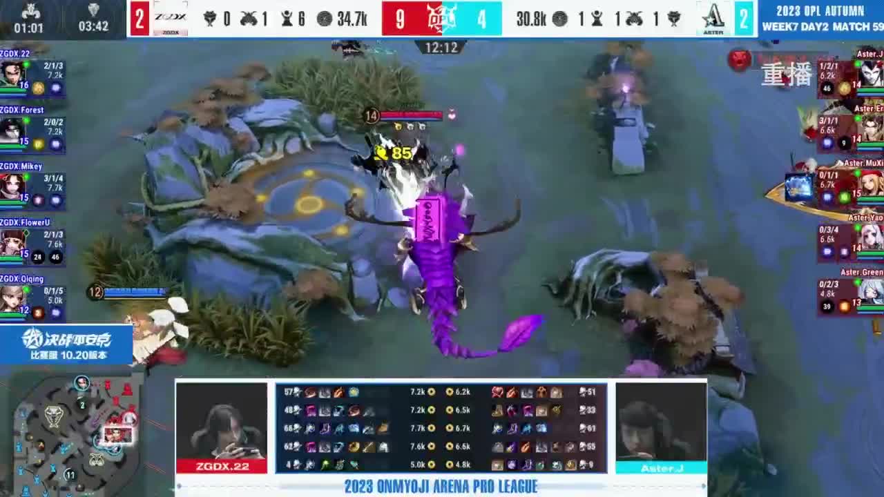 《决战！平安京》OPL秋季赛 第11段