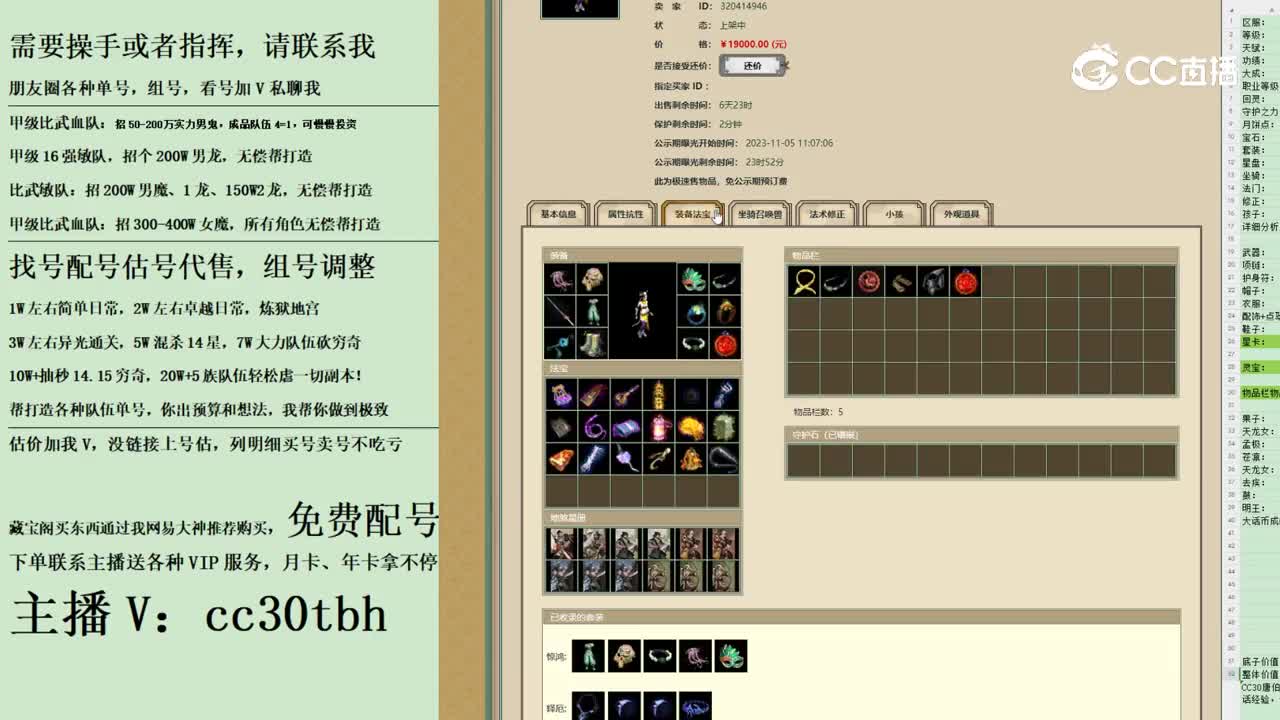 2023-11-05 11-19-37女魔