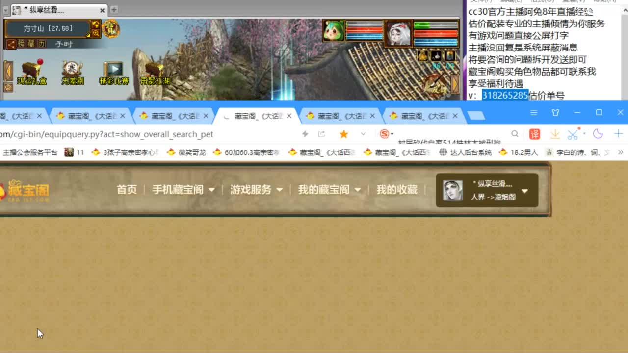 估价配装专业负责的主播 第6段
