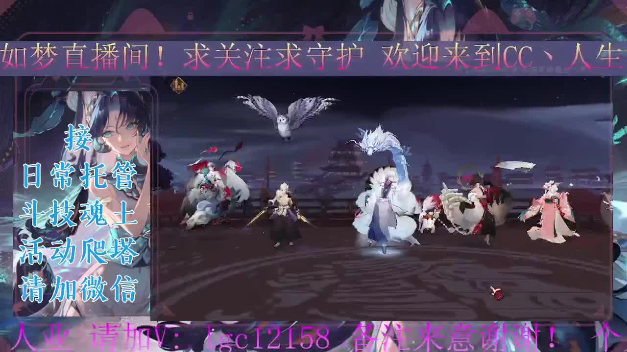 ban禅炸盾，接斗技调号托管 第1段