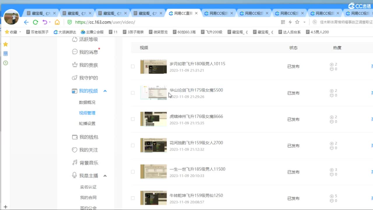 估价配装专业细心的主播 第3段