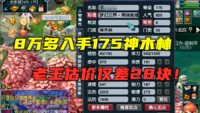 梦幻西游：8万买的175神木林，估价仅差28块？买卖双方都被惊到！
