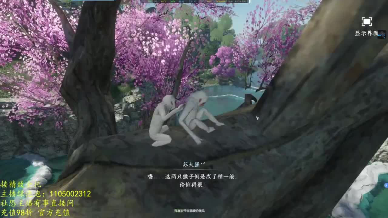 素质主播 第5段