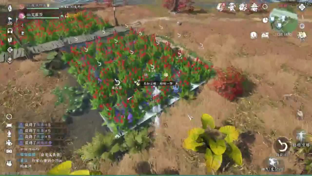 我在鬼区刀剑如梦 第6段