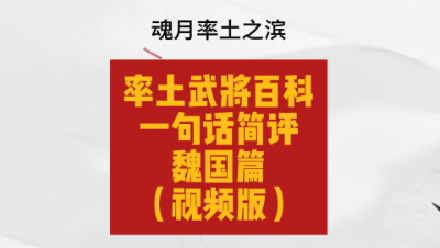 萌新速速收藏！率土武将百科—魏国— 一句话总结（视频版）