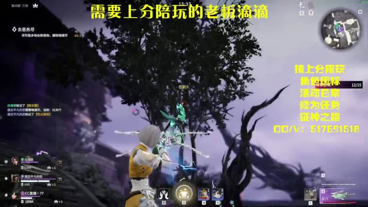 接上分.陪,征神.日常 第2段