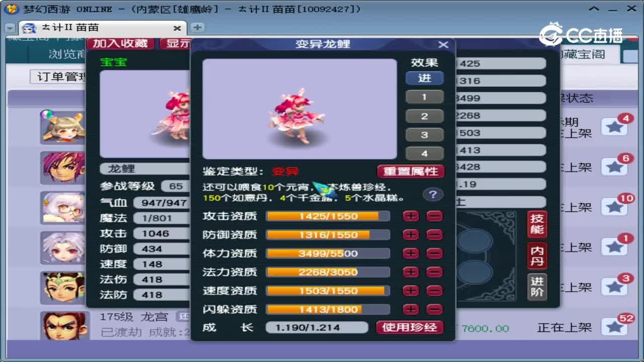 【主播点评】龙鲤