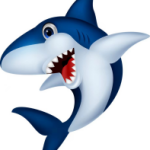 白鲨:估价配号进阶