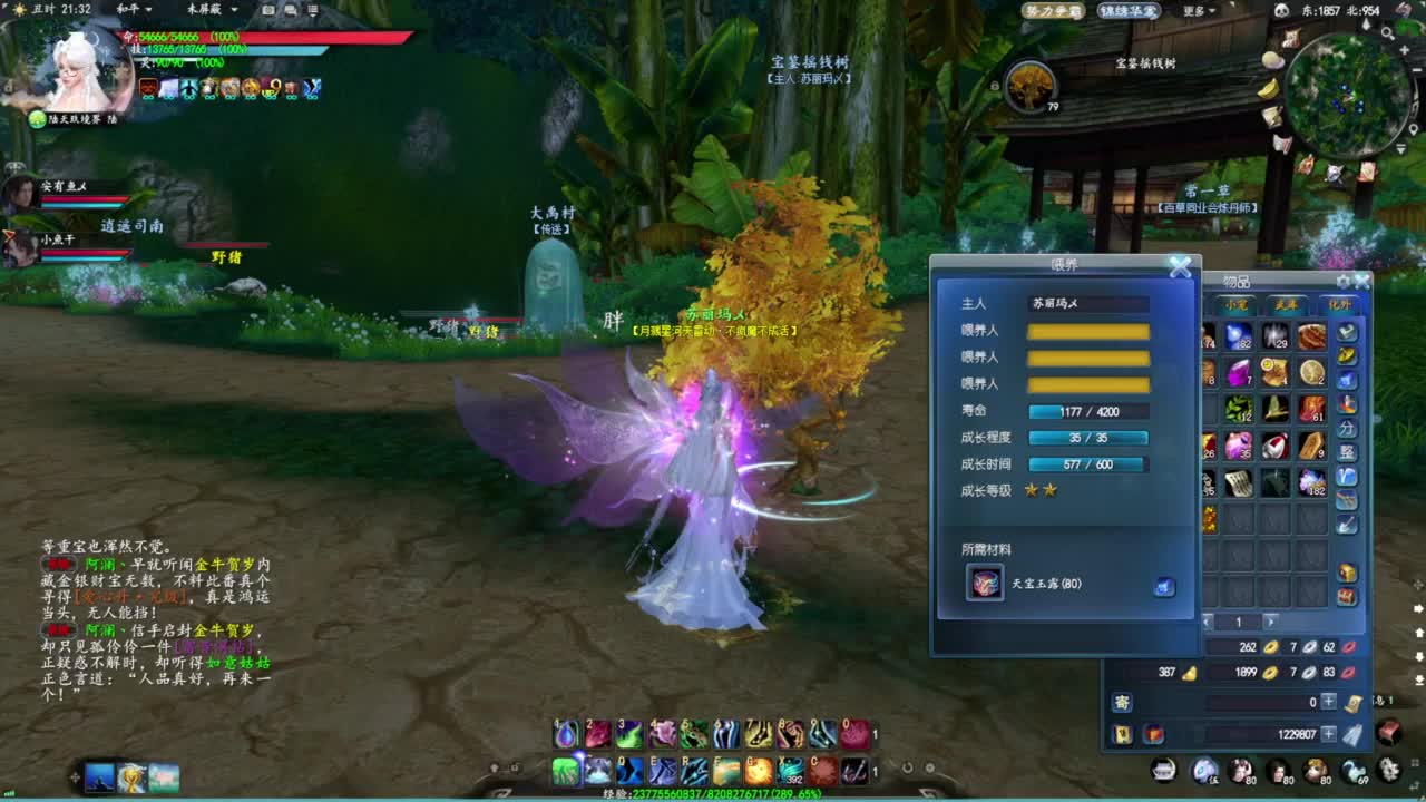 柔弱不能自理 第2段