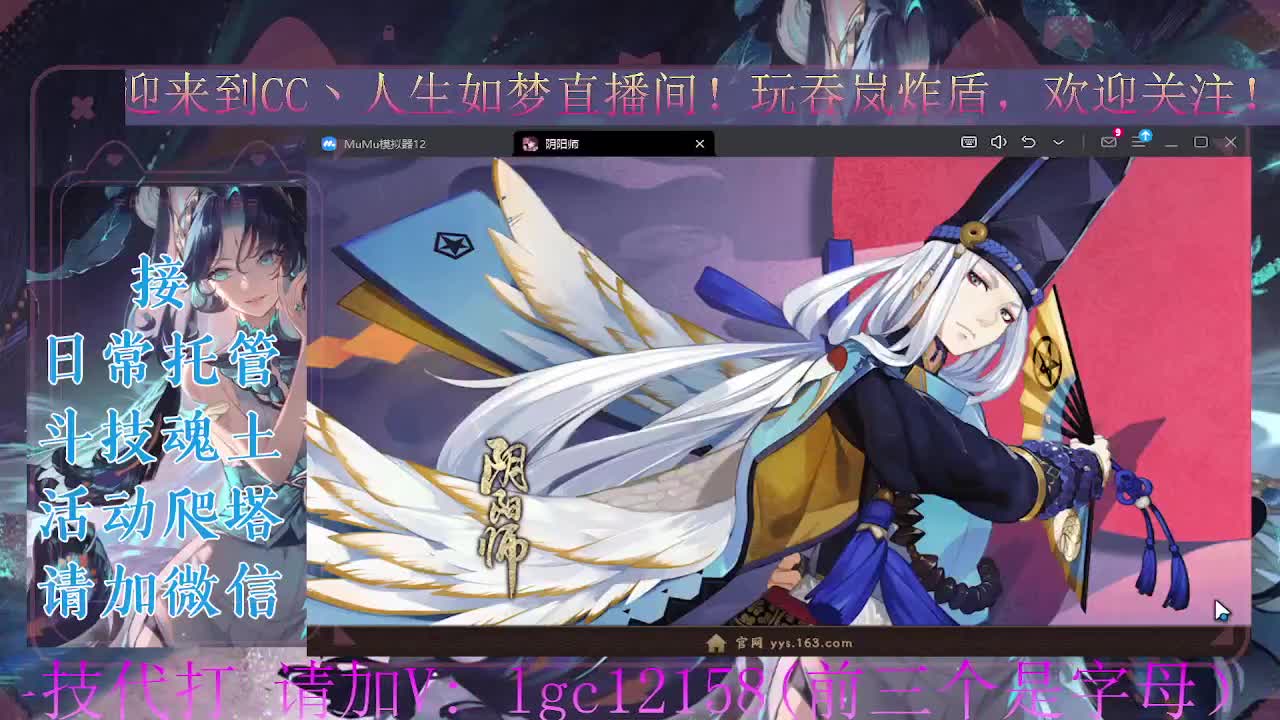 打打斗技，接崽战低保 第2段