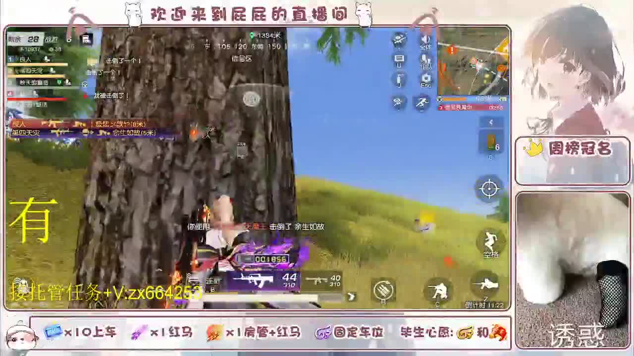 非常ok  有 第11段