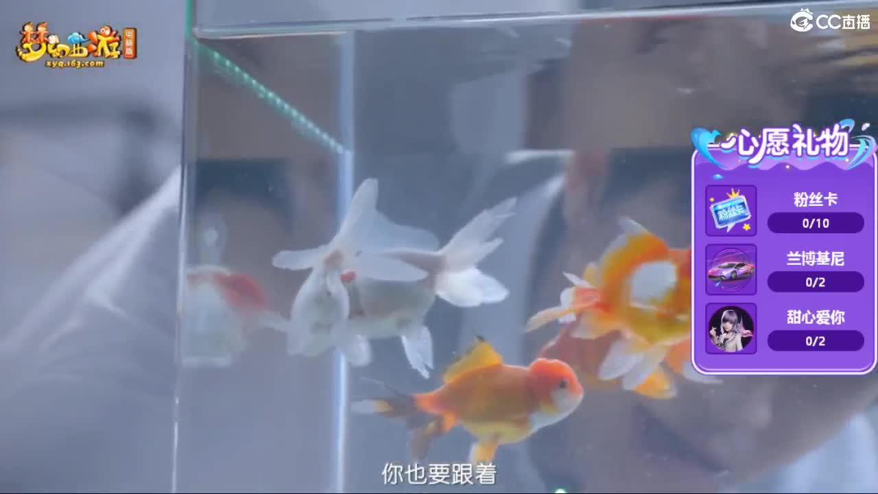 自助之，天助之，冲击175 第12段