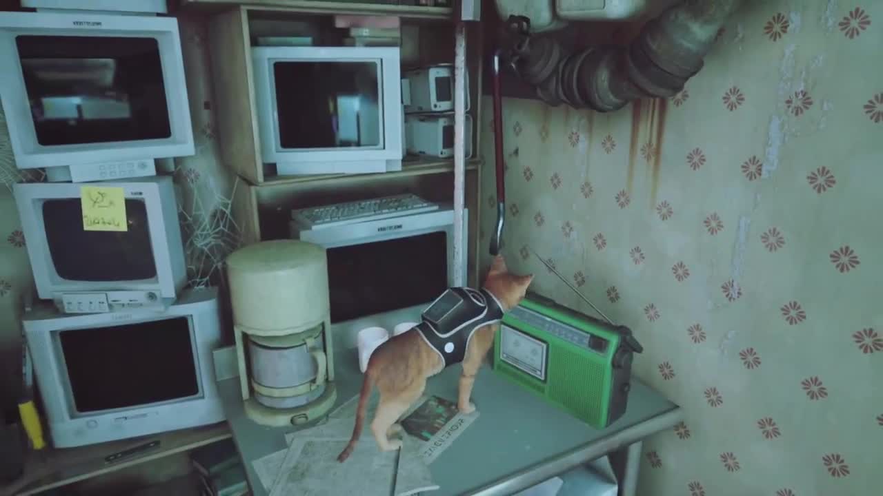 忄生感声优 在线宠粉 第10段