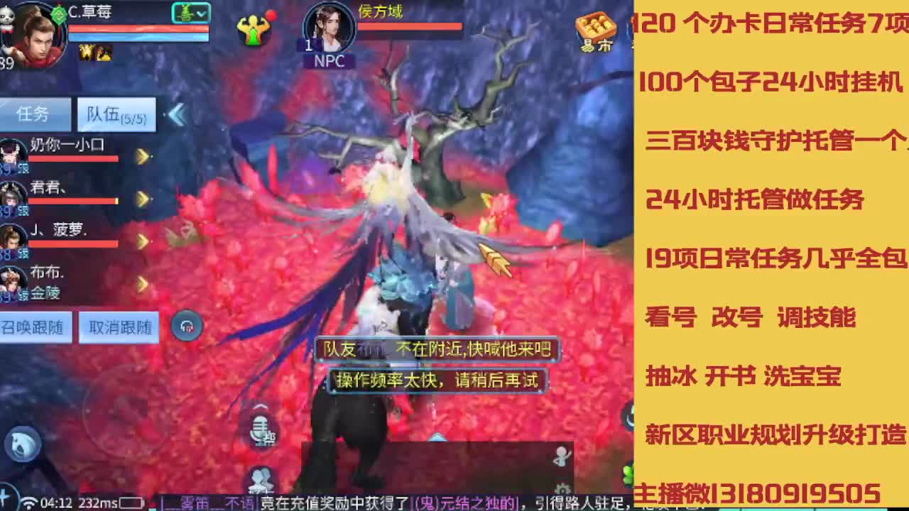 春节不休息接托管卡龙 第1段