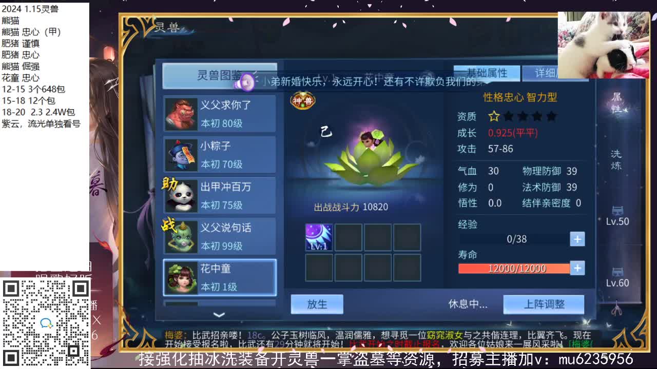 接强化包强化，资源白~ 第1段