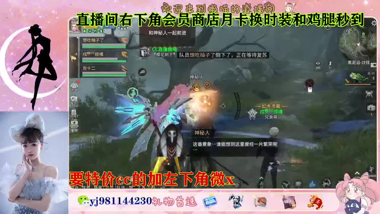 全套永久cc  全服秒发 接代甘 第2段