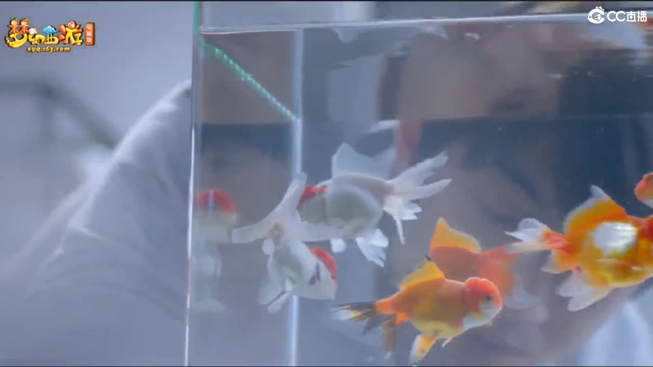 自助之，天助之，冲击175 第6段