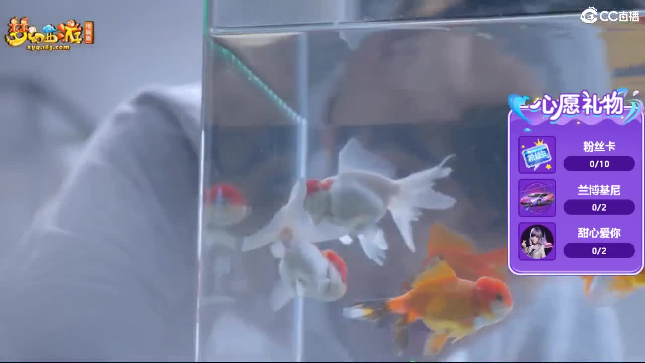 自助之，天助之，冲击175 第10段