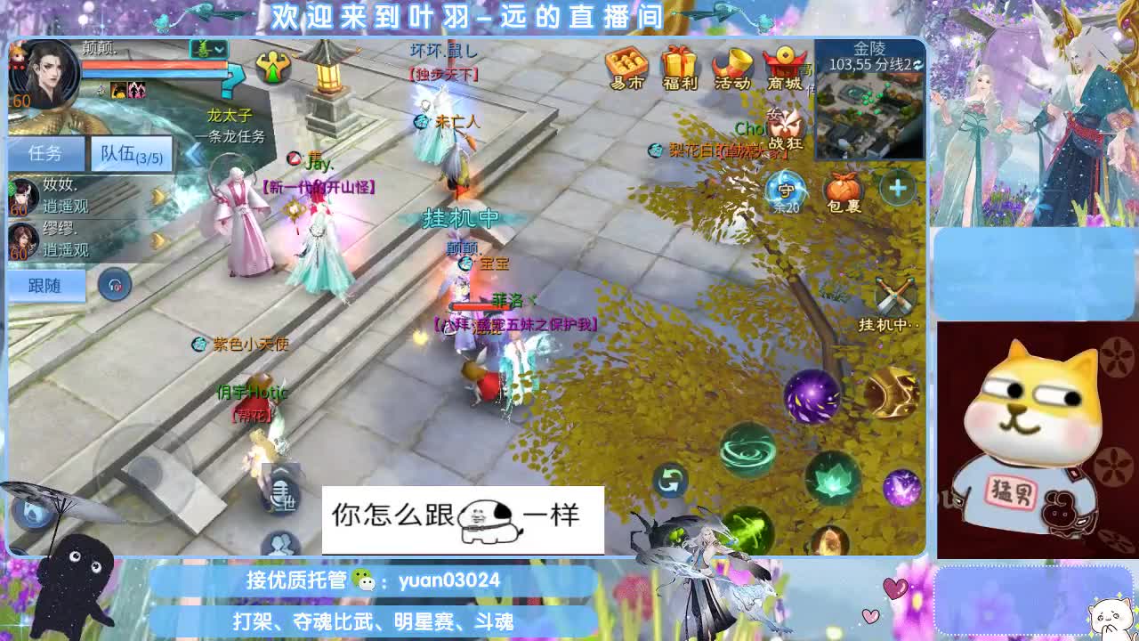 接新大区资源。老区拖管~~~ 第11段