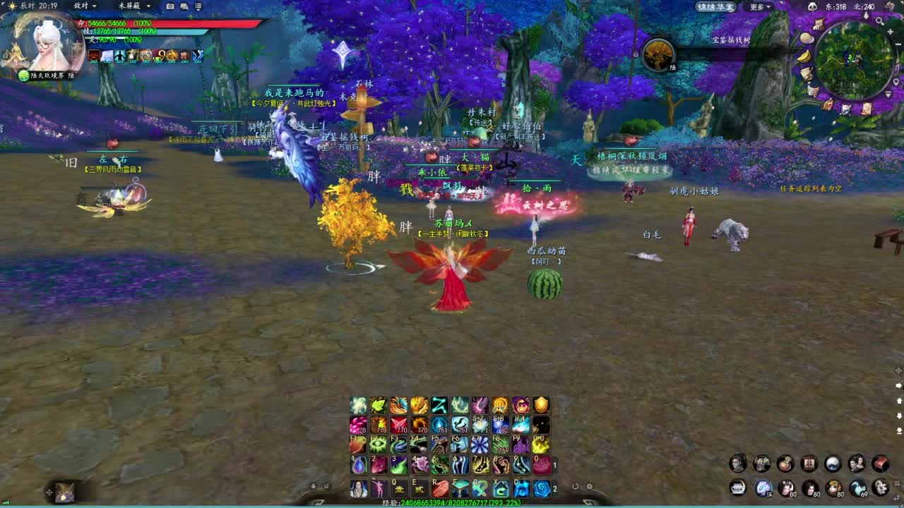 柔弱不能自理 第1段