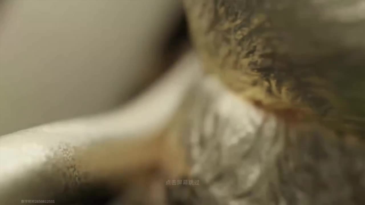 免费护航-在线带粉 第5段