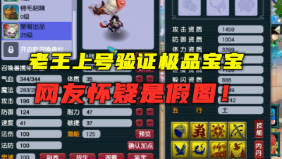 梦幻西游：什么极品竟让老王上号验证真假？打成能一刀秒杀辅助！