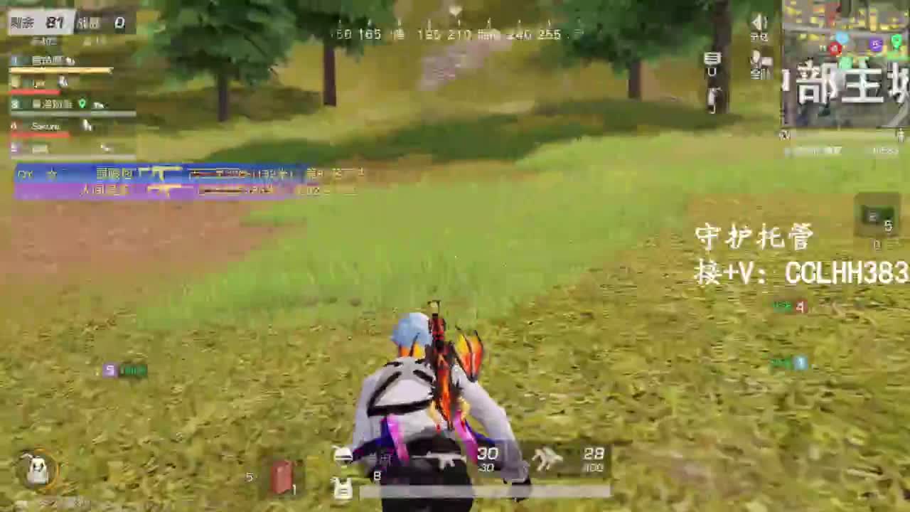 李荒荒【呆瓜版】 第8段