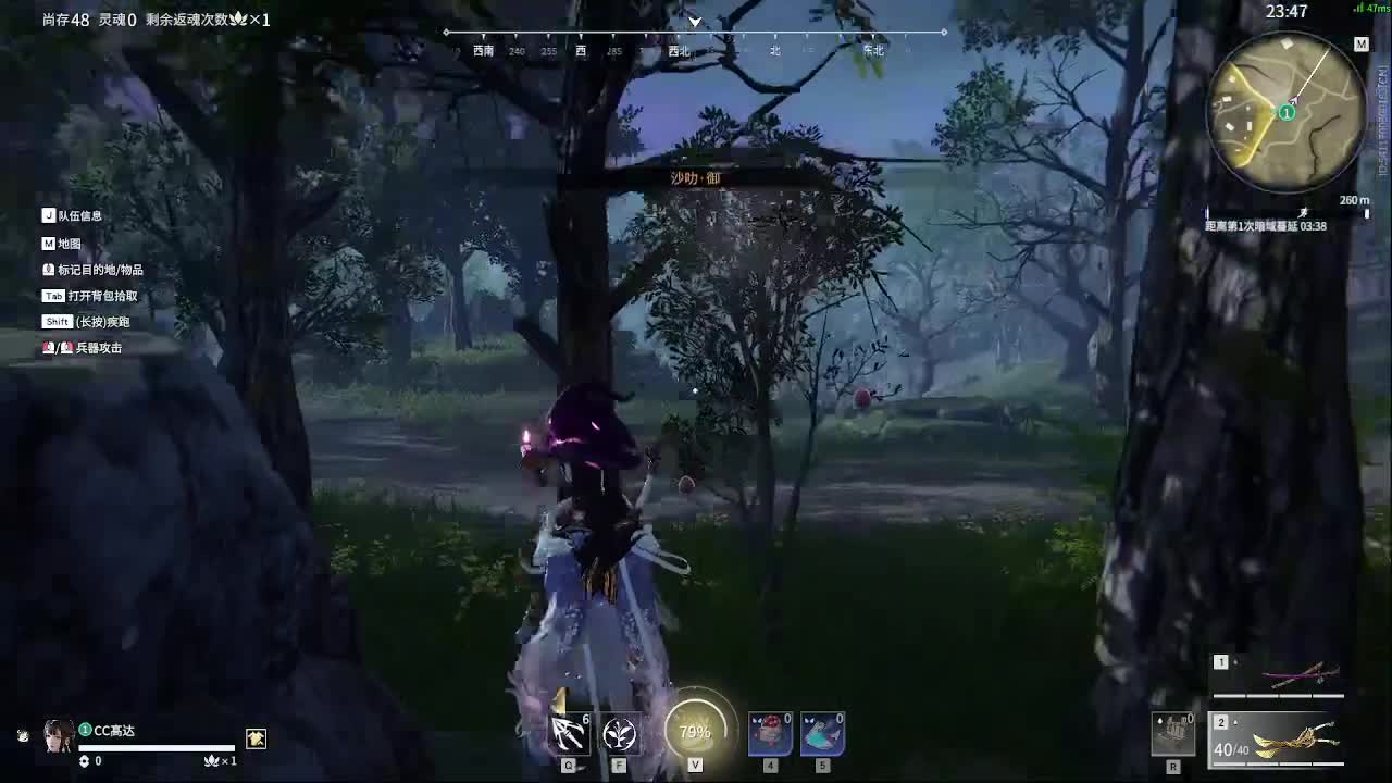 新英雄，魏轻 第2段