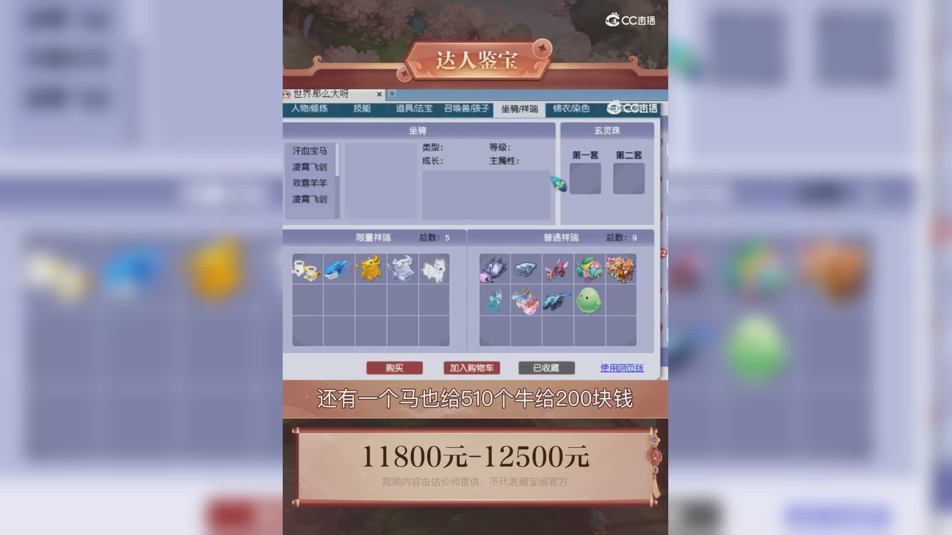【主播点评】39065067