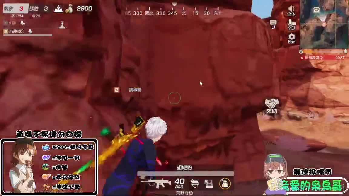 祝大家龙年大吉 第8段