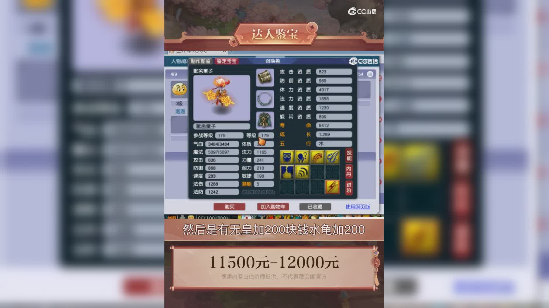 【主播点评】31351592