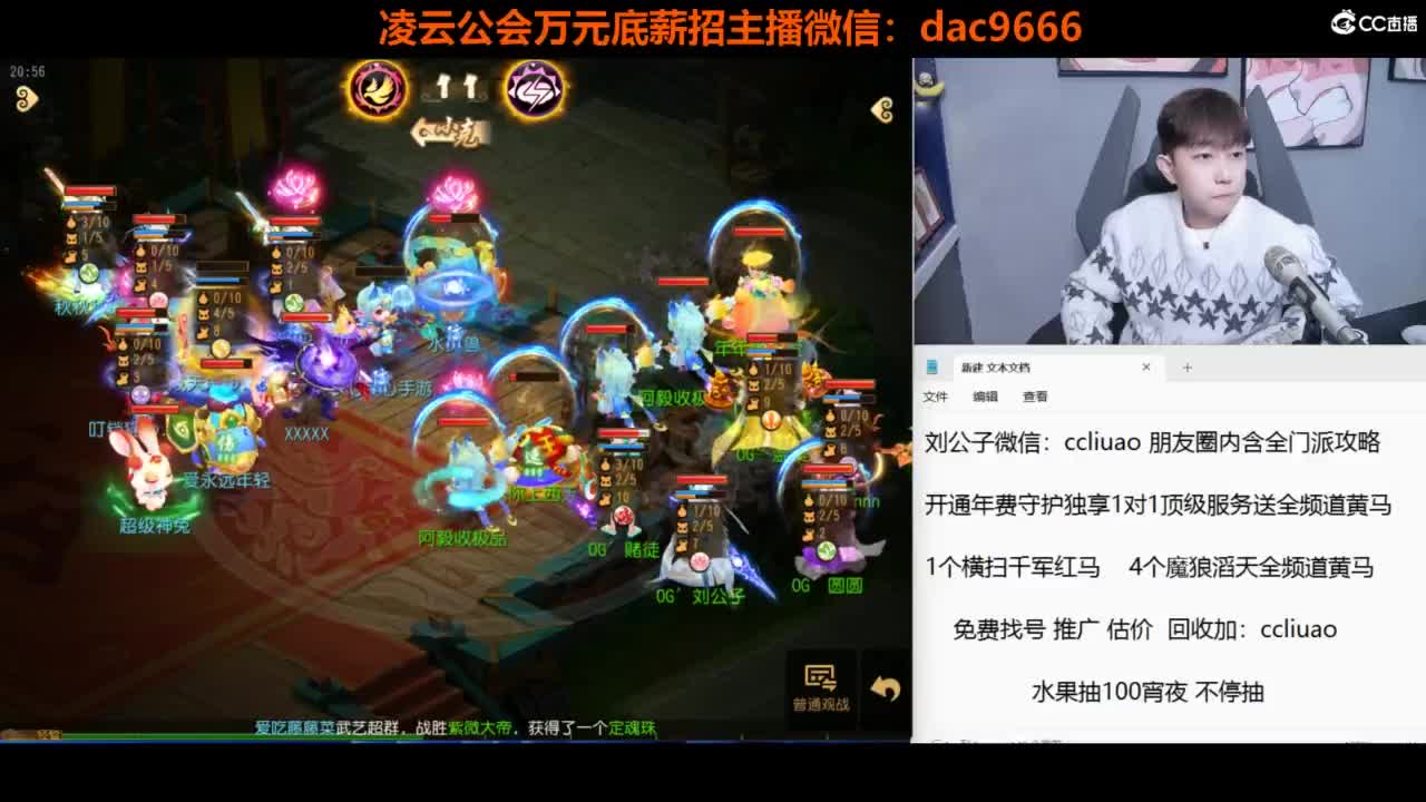 免费接 合宠 打书 打装备 所有资源 第6段