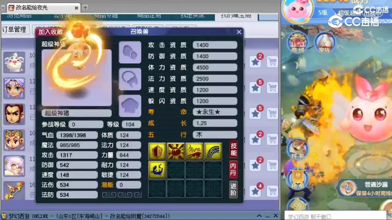 cc_capture_20240225162938