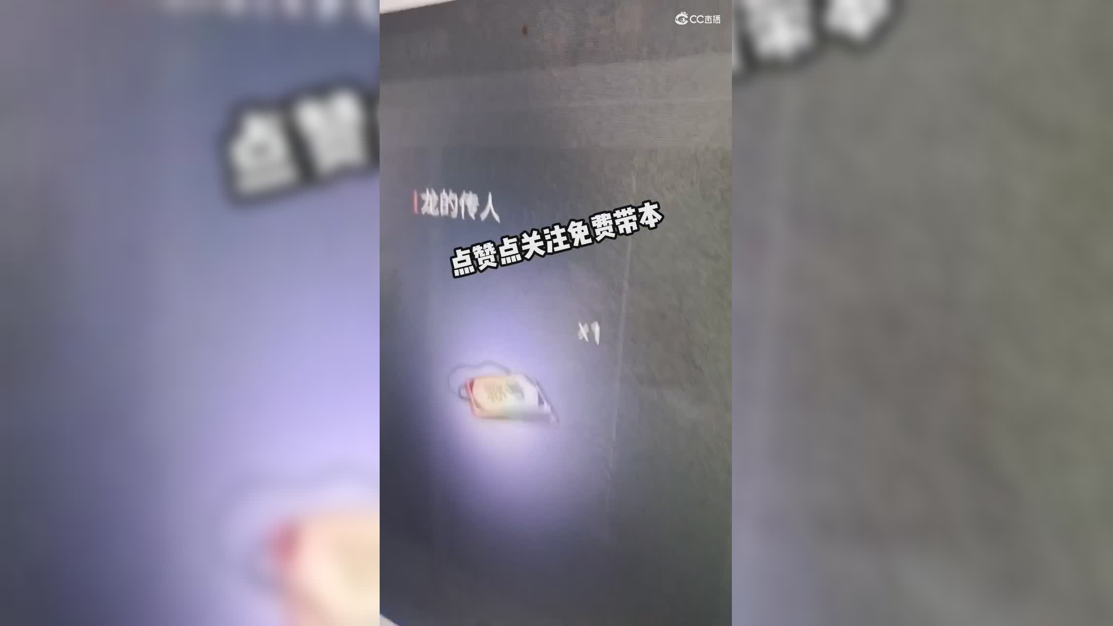 龙的传人