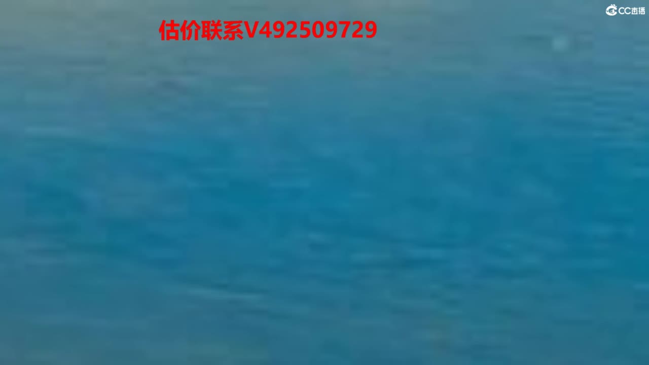 专业估价推销 第1段