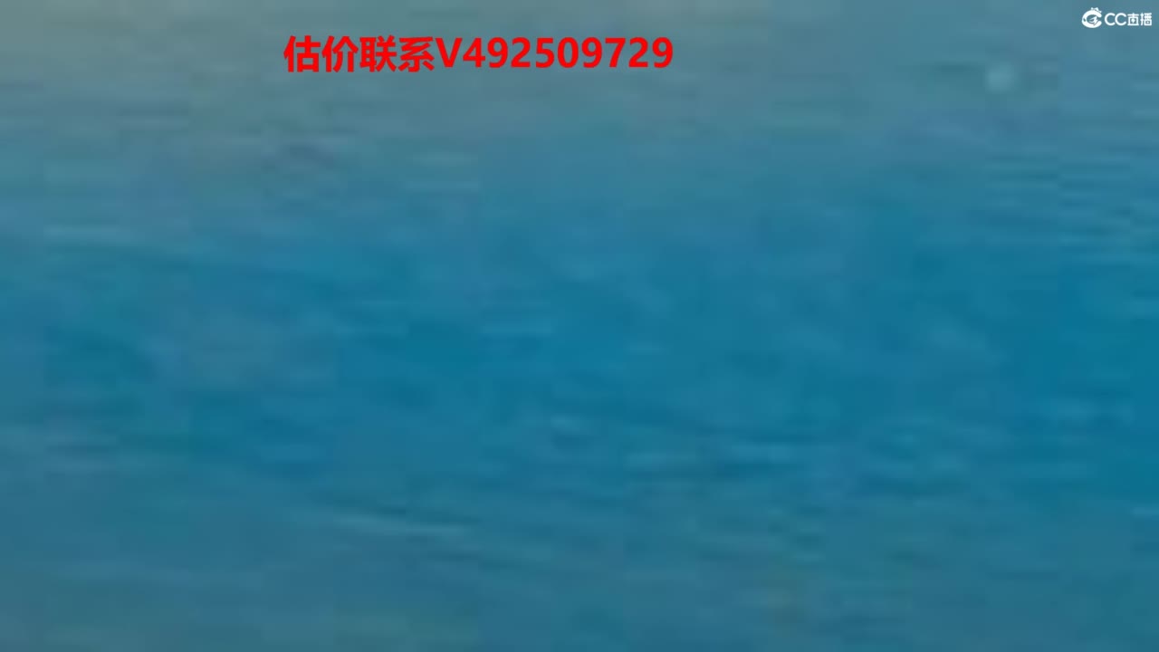 专业估价推销 第2段