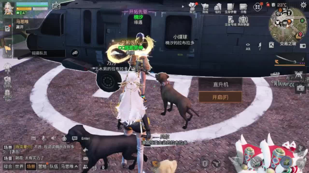 龙年赚金服！ 第6段