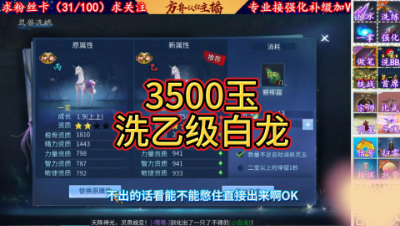 3500玉洗乙级白龙