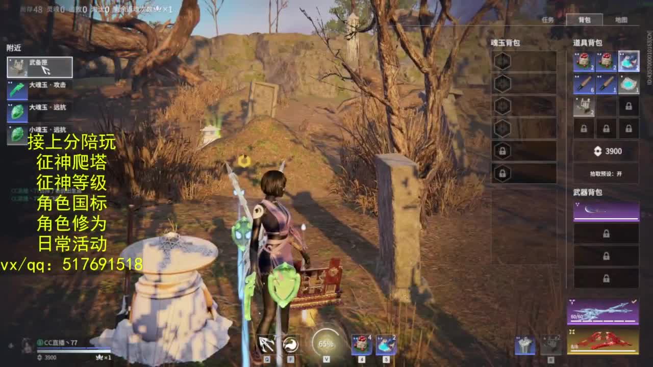 接上分.陪,征神.日常.20级聚义厅动作 第8段