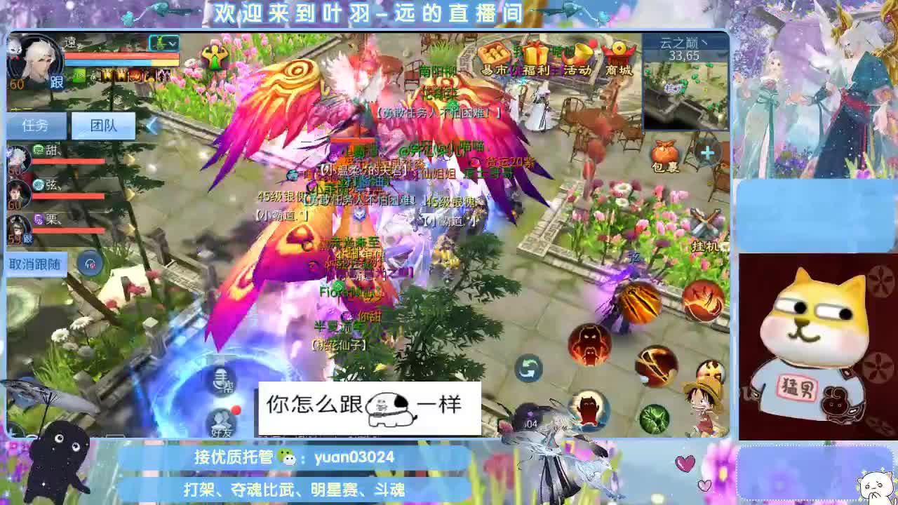 太阳神鸟招斗魂老板~~ 第13段