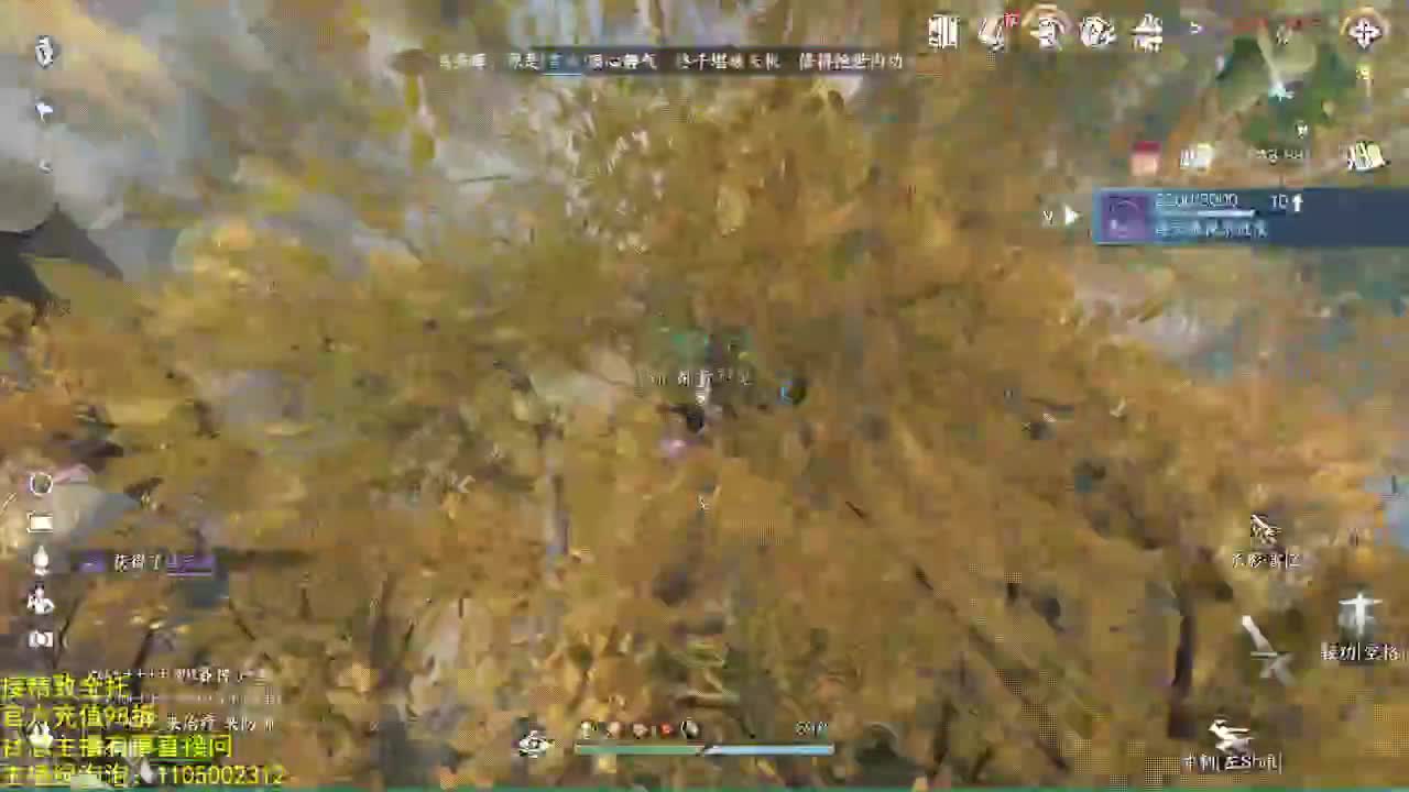 素质主播 第5段