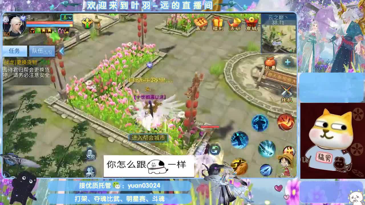 太阳神鸟招斗魂老板~~ 第3段