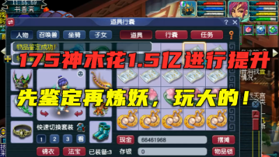 梦幻西游：1.5亿给175神木林提升，先鉴定再炼妖，要玩就玩大的！
