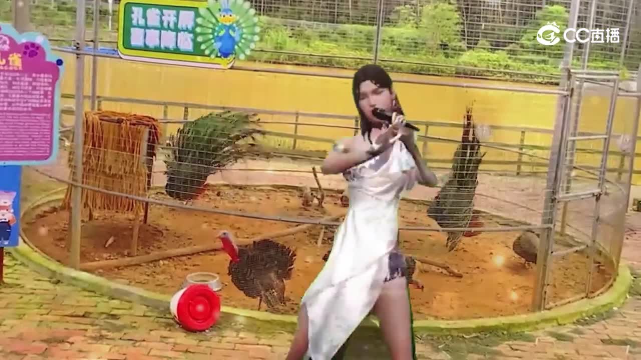 当明日走金现实2.0